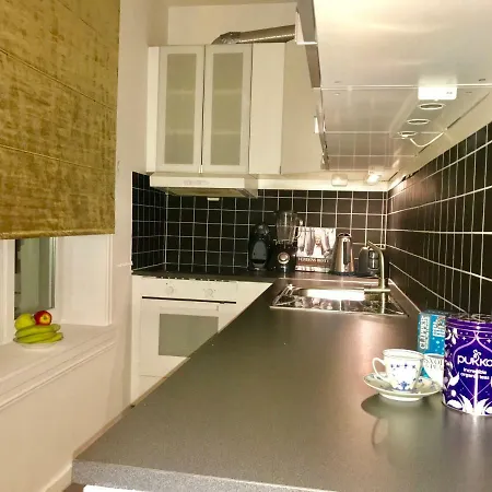 Cosy And Central/newly Renovated With Amenities * 奥斯陆