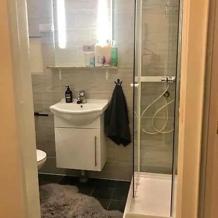 Cosy And Central/newly Renovated With Amenities 公寓 奥斯陆